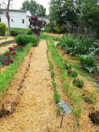 Au Coeur Du Jardin Villa La Boussac Holiday home